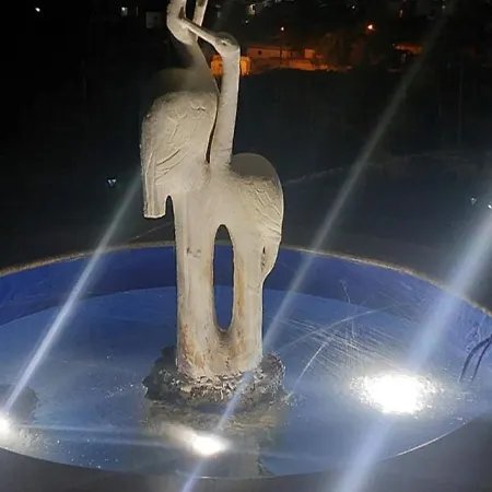 Yucca Vlorë
