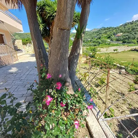 Appartement Yucca Vlorë