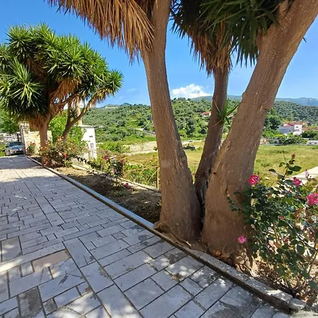 Yucca Vlore